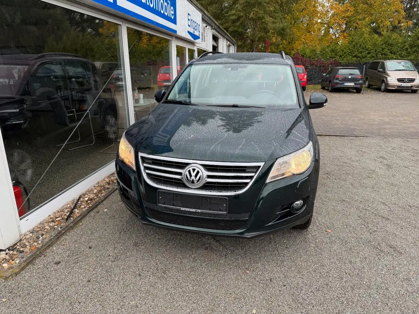 Volkswagen Tiguan Freestyle BMT Grün - 2