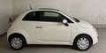 Fiat 500 12 Monate Garantie! Pickerl Neu! Service Neu! Weiß - thumbnail 4