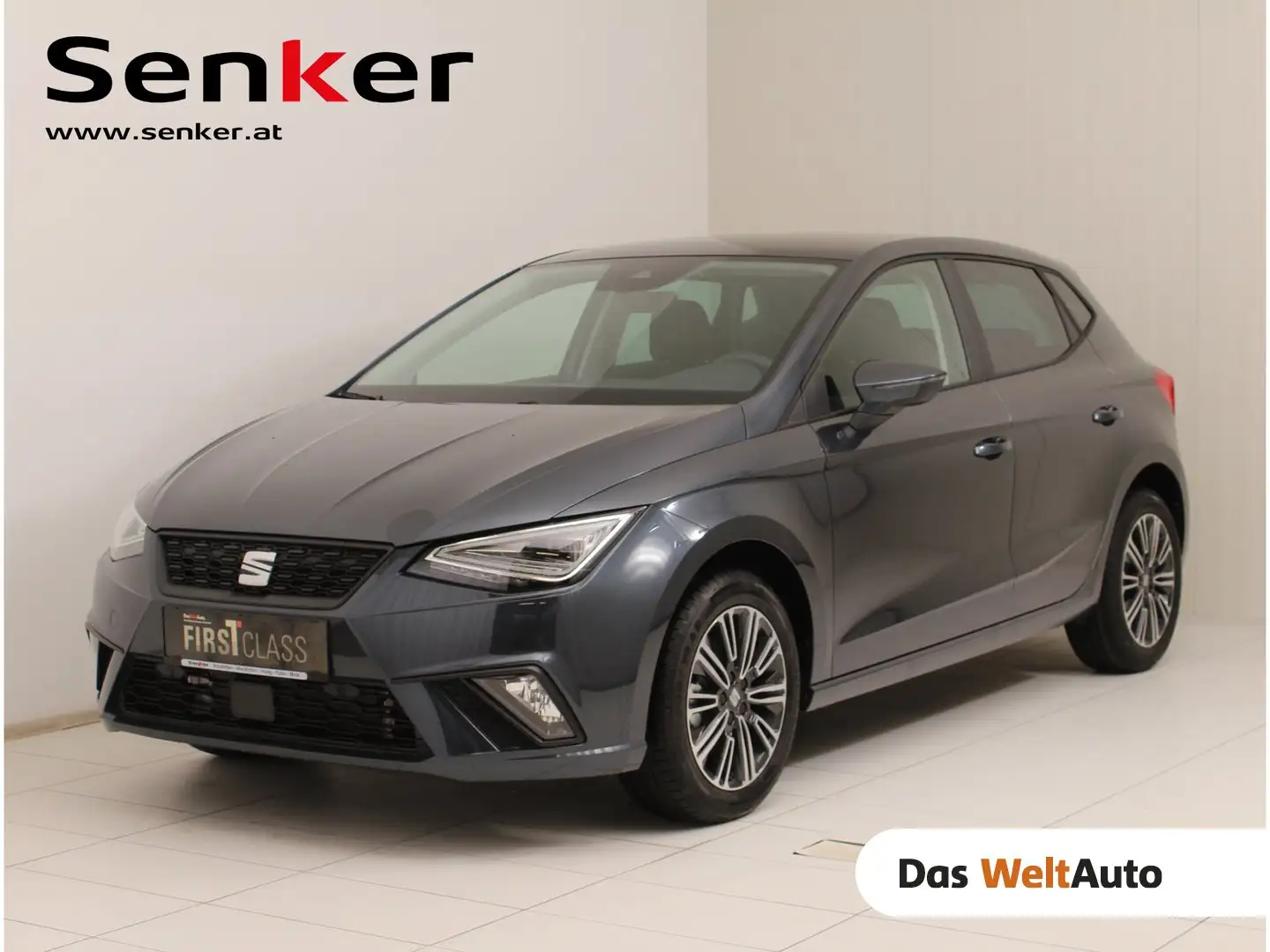 SEAT Ibiza Style Edition 1.0 TSI DSG Grau - 1
