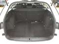 Skoda Octavia Combi Essence TDI *LED*GRA*DIGITAL*SHZ* Bianco - thumbnail 8