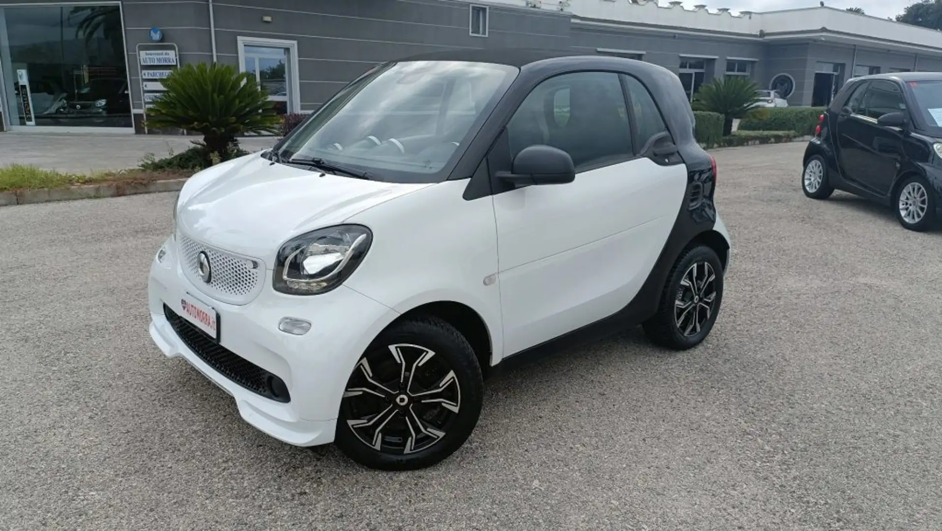 smart forTwo 1.0 Manuale Youngster n°16 Blanc - 2