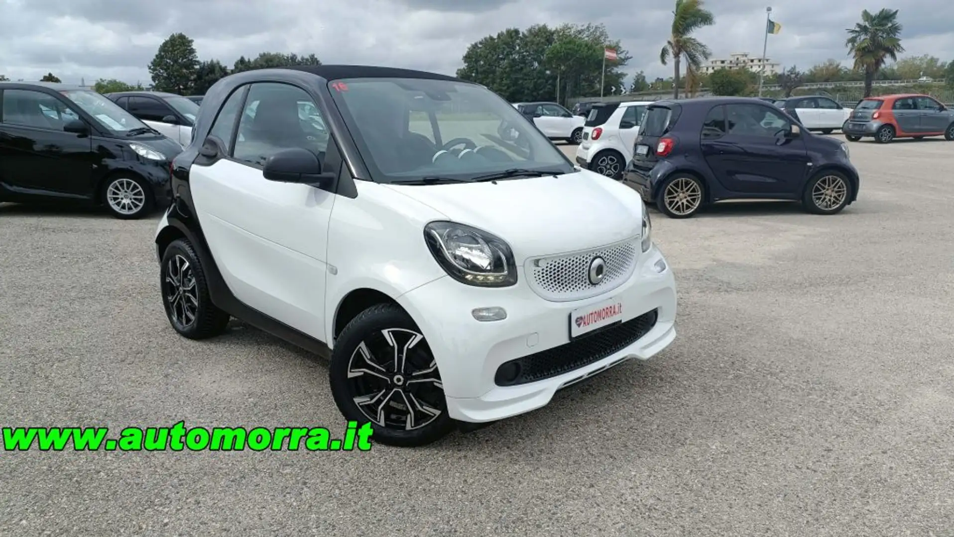 smart forTwo 1.0 Manuale Youngster n°16 Blanc - 1