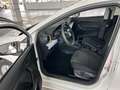 SEAT Ibiza 1.0 TGI Reference Fari LED, Carplay, Sedili risc. Bianco - thumbnail 5