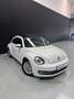 Volkswagen Beetle 1.2 TSI 105cv Design Blanco - thumbnail 4
