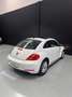 Volkswagen Beetle 1.2 TSI 105cv Design Blanco - thumbnail 10
