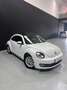 Volkswagen Beetle 1.2 TSI 105cv Design Blanco - thumbnail 3