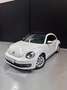 Volkswagen Beetle 1.2 TSI 105cv Design Blanco - thumbnail 7