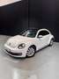 Volkswagen Beetle 1.2 TSI 105cv Design Blanco - thumbnail 6