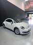Volkswagen Beetle 1.2 TSI 105cv Design Blanco - thumbnail 2