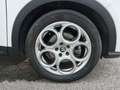 Alfa Romeo Tonale Tonale 1.6 Sprint 130cv tct6 Wit - thumbnail 6