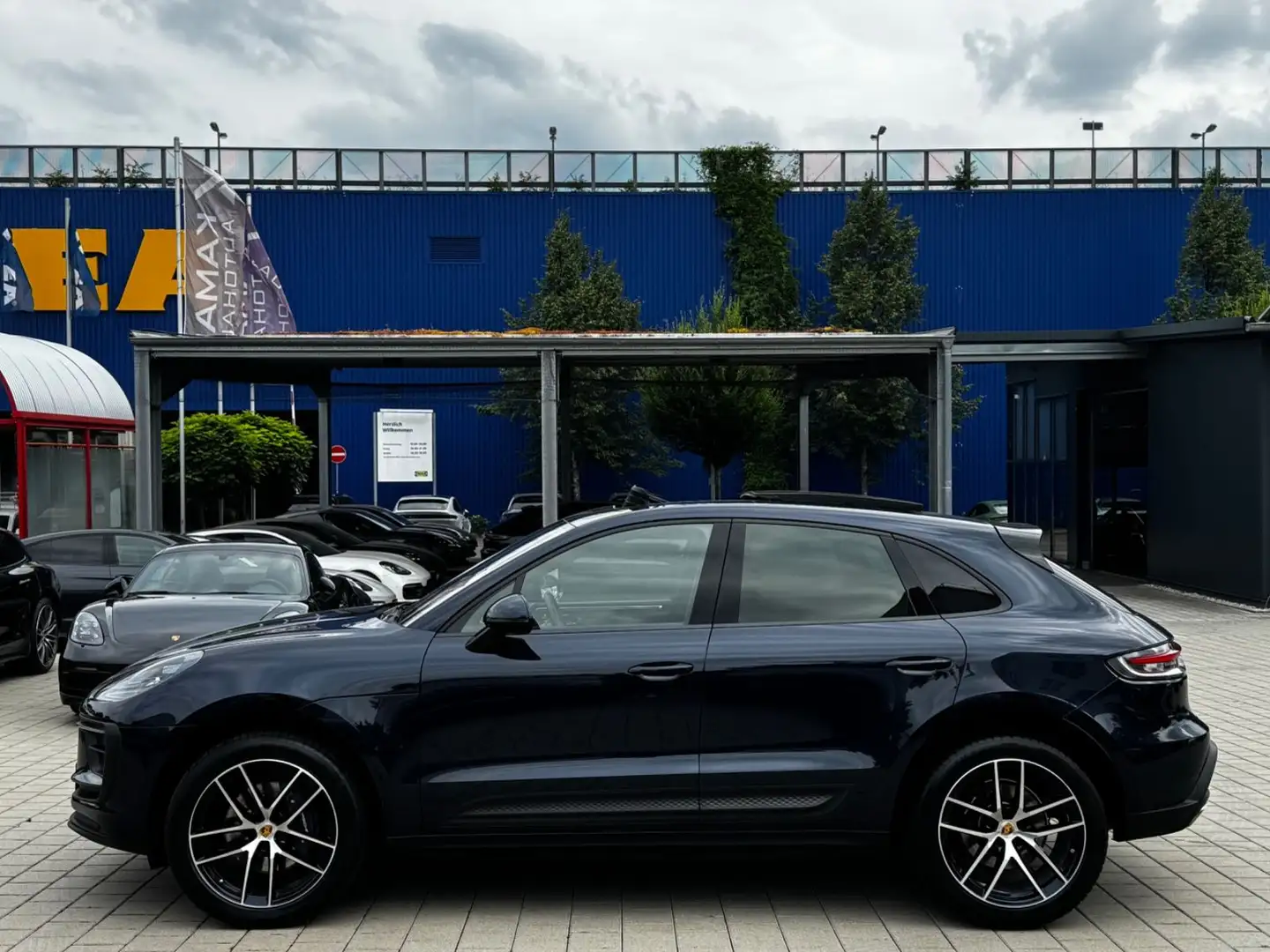 Porsche Macan III *20ZOLL-STANDHZG-PANO-ACC-BOSE-PDLS+* Blauw - 2
