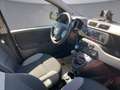 Fiat Panda MY 21 Twin Air 85 Wild 4x4 Grün - thumbnail 11