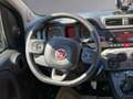 Fiat Panda MY 21 Twin Air 85 Wild 4x4 Grün - thumbnail 10
