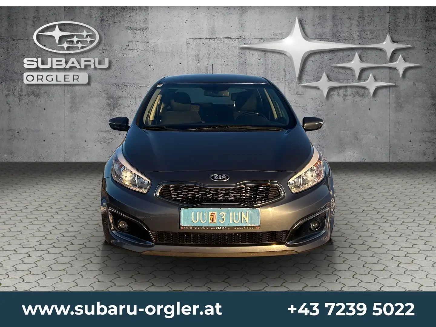 Kia Ceed / cee'd cee'd 1,4 CRDi Gold Gris - 2