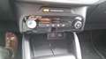 Ford Kuga Active, Allrad Fullhybrid183 PS, AHK schwenkbar Grün - thumbnail 23