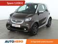 smart forTwo 1.0 passion*SHZ*TEMPO*PANO*KLIMA* Marrón - thumbnail 1
