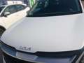 Kia Sportage 1.6 T-GDi MHEV Drive 150 Blanco - thumbnail 18