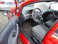 Ford Fiesta Trend TÜV NEU Rouge - thumbnail 9