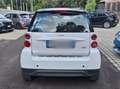 smart forTwo Fortwo 1.0 mhd Pure 61cv Bianco - thumbnail 3