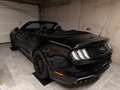 Ford Mustang Mustang 5,0 Ti-VCT V8 GT Cabrio Aut. GT Schwarz - thumbnail 10