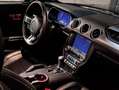 Ford Mustang Mustang 5,0 Ti-VCT V8 GT Cabrio Aut. GT Schwarz - thumbnail 8