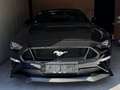 Ford Mustang Mustang 5,0 Ti-VCT V8 GT Cabrio Aut. GT Schwarz - thumbnail 5