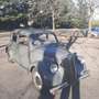 Lancia ardea - thumbnail 7