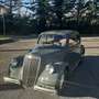 Lancia ardea - thumbnail 8