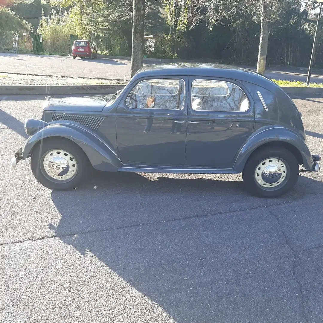 Lancia ardea - 1