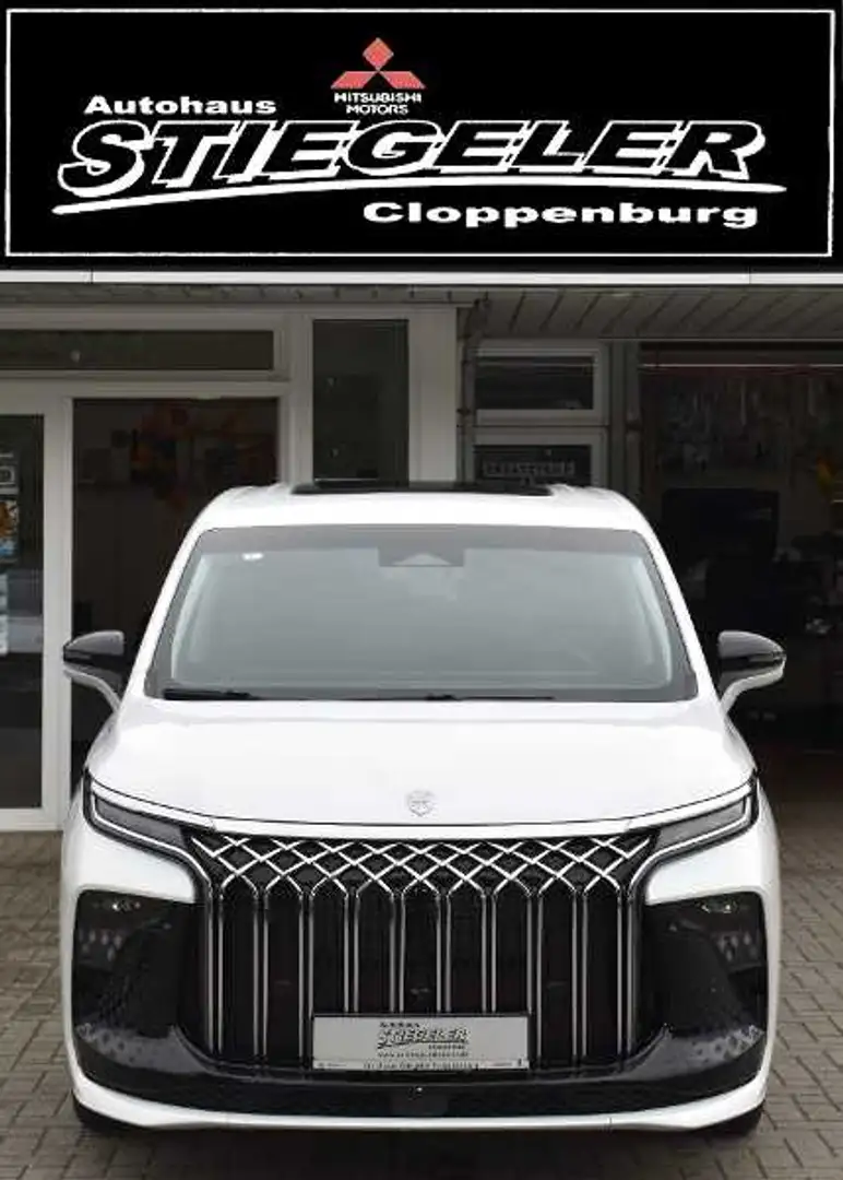 Forthing DFM Forthing 9 HEV El. Schiebetüren li. u. re. Weiß - 2