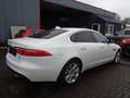 Jaguar XF Prestige  *TOP Zustand* ( Motorschaden) Weiß - thumbnail 5