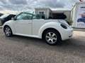 Volkswagen New Beetle 1.9 TDI 105CV Cabrio CABRIO Bianco - thumbnail 3