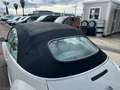 Volkswagen New Beetle 1.9 TDI 105CV Cabrio CABRIO Blanco - thumbnail 11