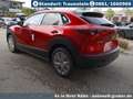 Mazda CX-30 2.0L e-SKYACTIV G Exclusive-line DESIGN-Paket - thumbnail 5
