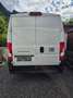 Fiat Ducato 33 L2H2 Weiß - thumbnail 4