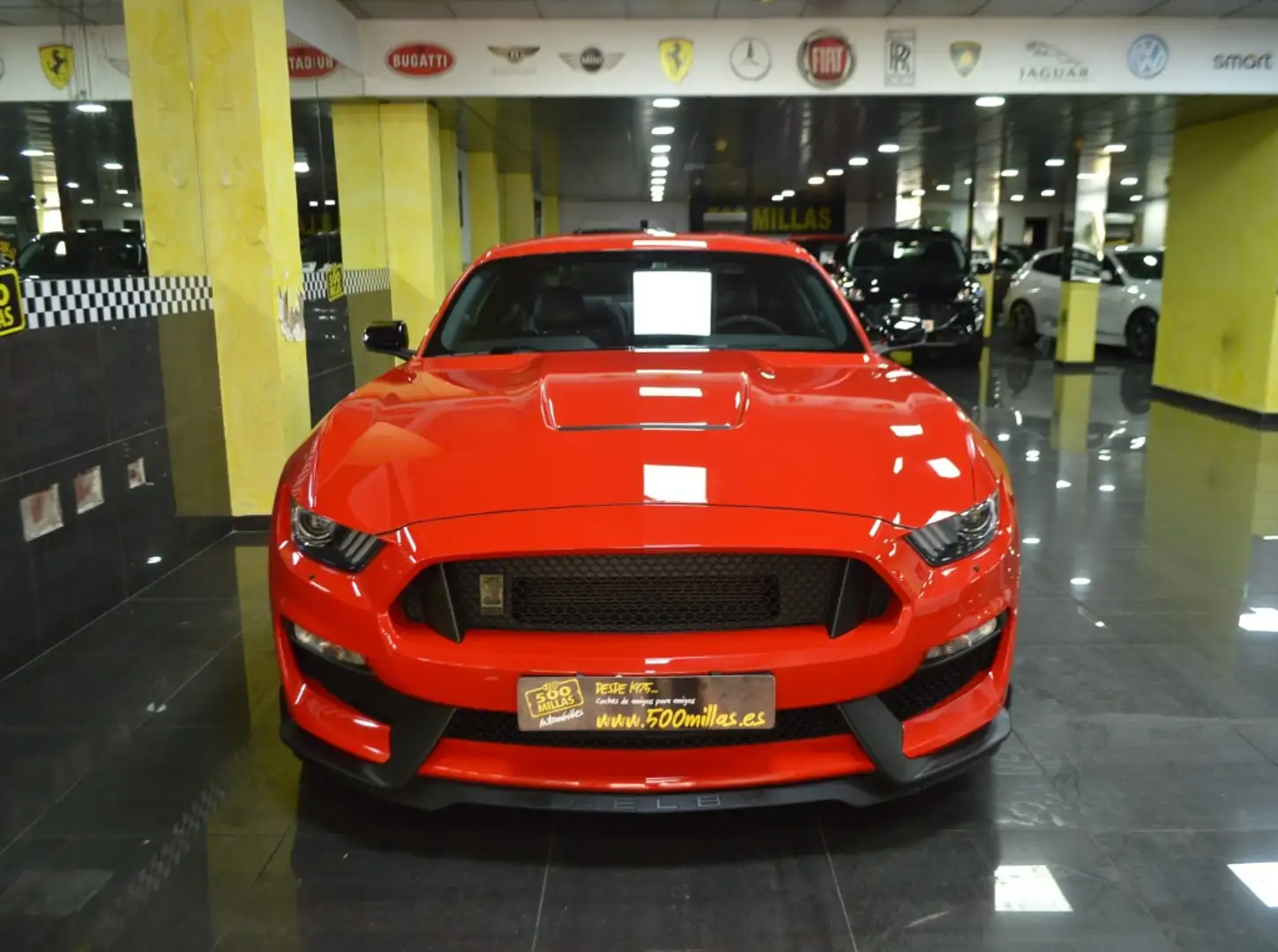 Ford Mustang Shelby GT350 Rojo - 2