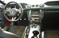 Ford Mustang Shelby GT350 Rojo - thumbnail 10