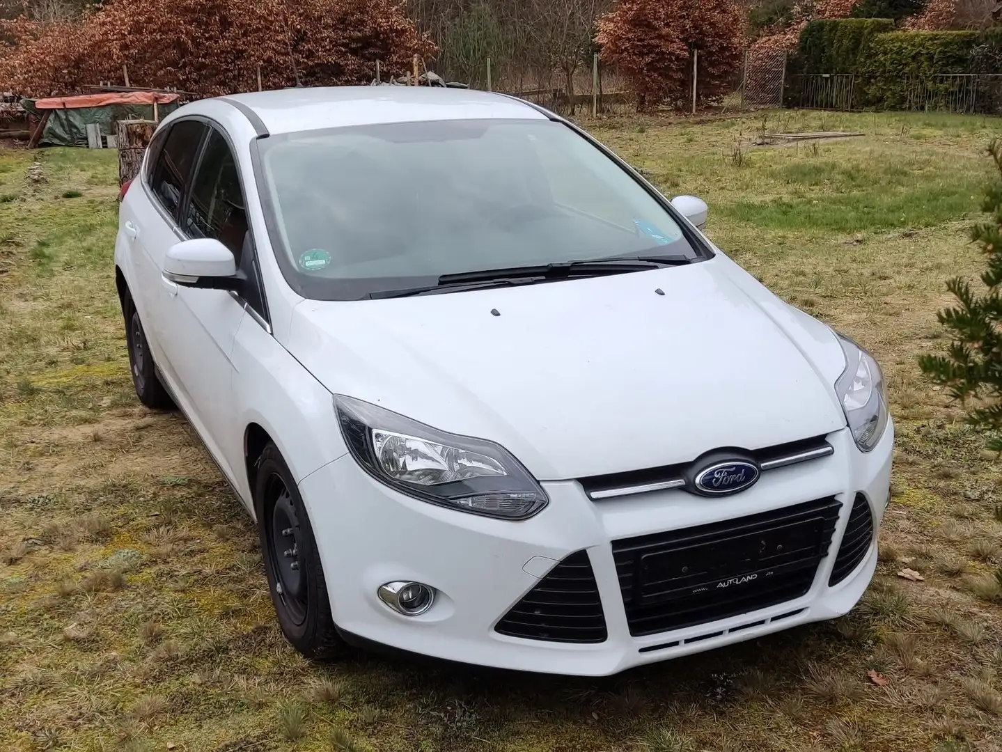 Ford Focus Focus 1.0 EcoBoost Start-Stopp-System Champions Ed Weiß - 1