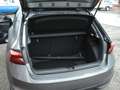 Skoda Fabia 130 Jahre Edition Grau - thumbnail 7