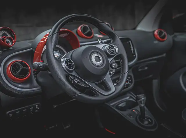 Smart Fortwo view 12