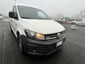 Volkswagen Caddy 2.0 TDI 110cv 4MOTION 4x4 FW601MP Bianco - thumbnail 4