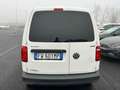 Volkswagen Caddy 2.0 TDI 110cv 4MOTION 4x4 FW601MP Bianco - thumbnail 7