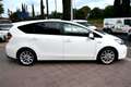 Toyota Prius+ 1.8 STYLE 7POSTI **REZZO VERO**UNIPRO'*FATTURABILE Fehér - thumbnail 12