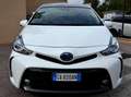 Toyota Prius+ 1.8 STYLE 7POSTI **REZZO VERO**UNIPRO'*FATTURABILE Fehér - thumbnail 14