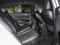 Kia Sportage GT Line 4WD XENON NAVI SHZ PDC AHK ALLW Bianco - thumbnail 5