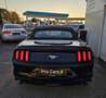 Ford Mustang Convertible 2.3 Eco Boost Aut., Leder,LED Schwarz - thumbnail 5