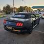 Ford Mustang Convertible 2.3 Eco Boost Aut., Leder,LED Schwarz - thumbnail 7