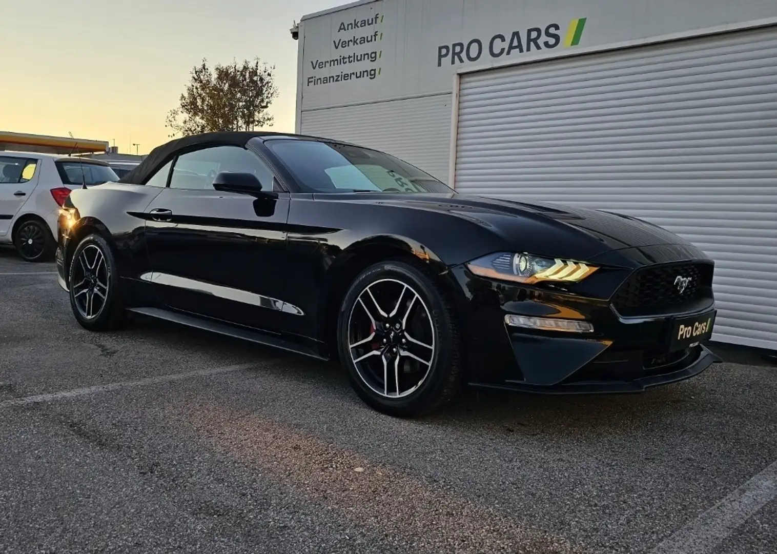 Ford Mustang Convertible 2.3 Eco Boost Aut., Leder,LED Noir - 2