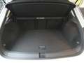Volkswagen T-Roc Style 1.5 TSI *LM*NAVI vorbr.*AppConnect* Weiß - thumbnail 11