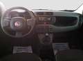 Fiat Panda 1.0 firefly hybrid s&s 70cv Nero - thumbnail 9